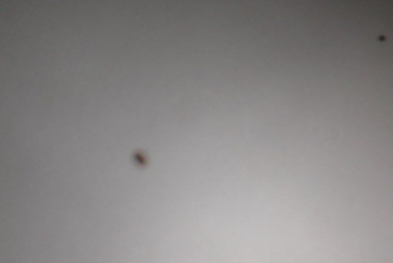 Click to return to the thumbnail index